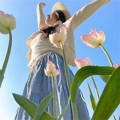 小生护驾 高清在线观看